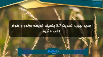 جديد ببجي: تحديث 3.7 يضيف خريطة روندو وأطوار لعب مثيرة